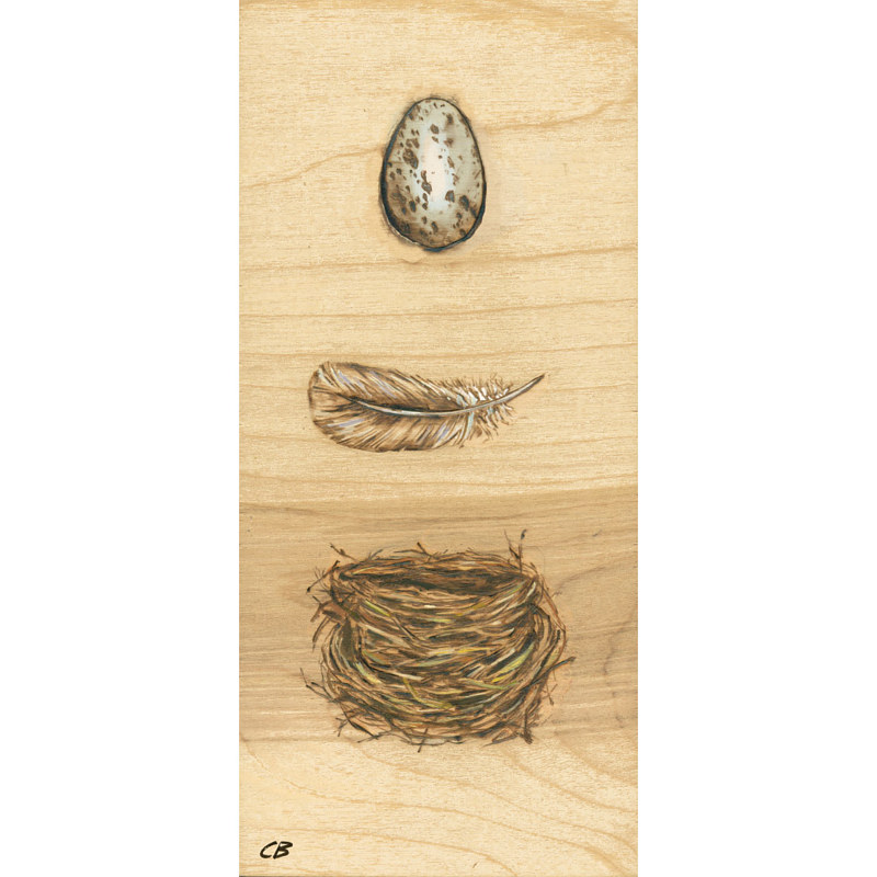 C-137 Egg_Feather_Nest Print C-137 Egg_Feather_Nest by Cody Blomberg