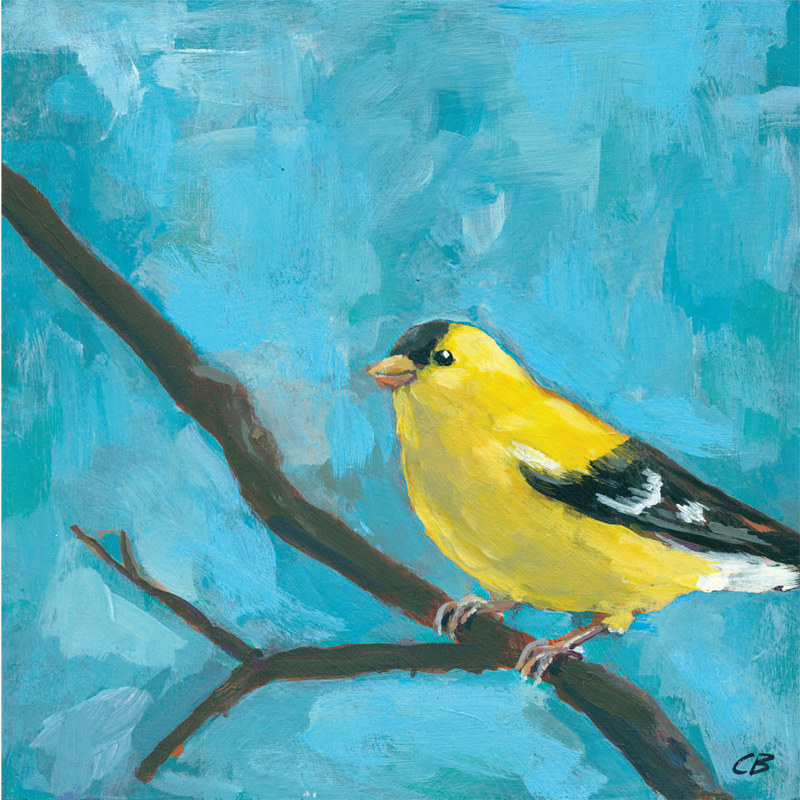 Goldfinch C-117 Print Goldfinch C-117 by Cody Blomberg