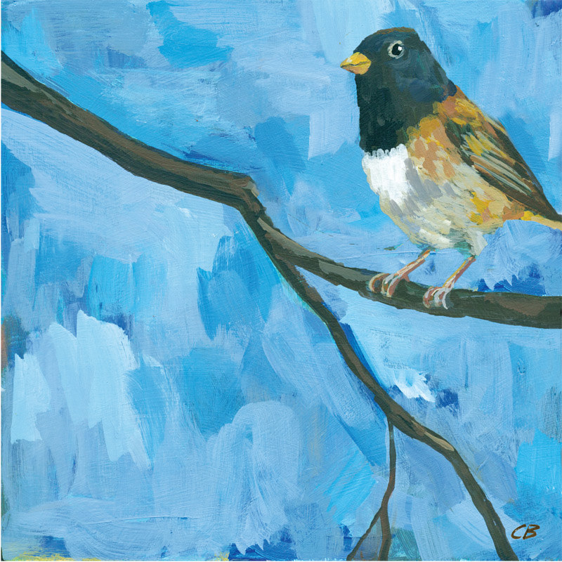 Junco C119 Print Junco C119 by Cody Blomberg