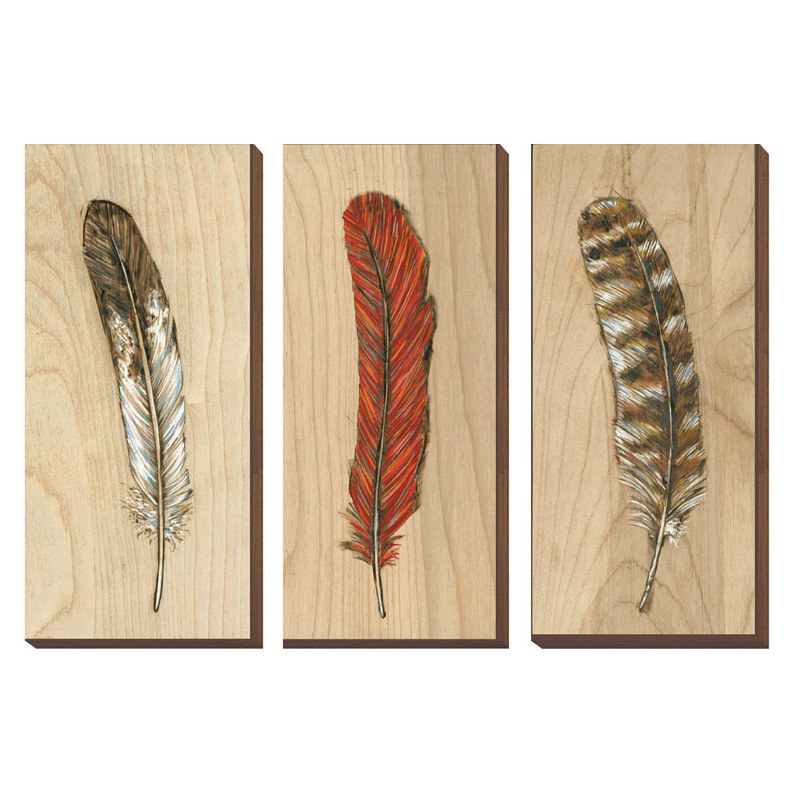 Eagle, Cardinal, Spotted Owl Feathers Print Eagle, Cardinal, Spotted Owl Feathers by Cody Blomberg
