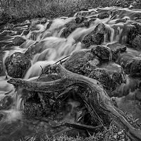 River Flows //images.artistrunwebsite.com/gallery/img_2063241475005924_large.jpg?1475086055