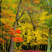 IMG_5127 aa //images.artistrunwebsite.com/gallery/img_2063301475006736_large.jpg?1475086307