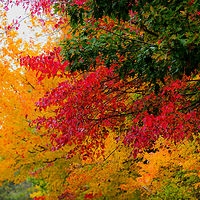 IMG_5156 aa //images.artistrunwebsite.com/gallery/img_2063311475006752_large.jpg?1475086299