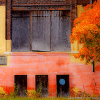 Better Days //images.artistrunwebsite.com/gallery/img_2063481475009540_large.jpg?1475086000