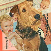 Playpen //images.artistrunwebsite.com/gallery/img_2064131475028172_large.jpg?1475029970