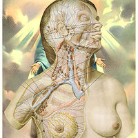 Goddess //images.artistrunwebsite.com/gallery/img_2064231475028235_large.jpg?1475029998