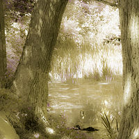 Timeless //images.artistrunwebsite.com/gallery/img_2068221475644854_large.jpg?1542259391