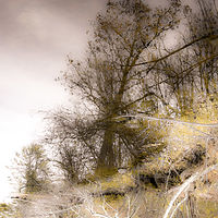 Impending //images.artistrunwebsite.com/gallery/img_2068231475644867_large.jpg?1545699743