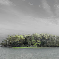The Point, State Wildlife Refuge //images.artistrunwebsite.com/gallery/img_2069881475829528_large.jpg?1542259390