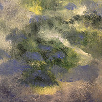 Lakes Region //images.artistrunwebsite.com/gallery/img_2070231475874689_large.jpg?1541329265