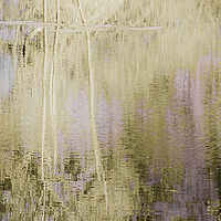 Marsh at Point Road 2 //images.artistrunwebsite.com/gallery/img_2070921475904079_large.jpg?1542259391
