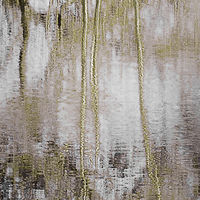 Marsh at Point Road 1 //images.artistrunwebsite.com/gallery/img_2070931475904096_large.jpg?1542259391