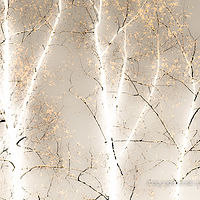 Birch in the Third Week of April //images.artistrunwebsite.com/gallery/img_2071681475980743_large.jpg?1545699744