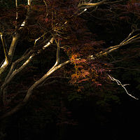 Late Going Home //images.artistrunwebsite.com/gallery/img_2071731475981191_large.jpg?1545699744