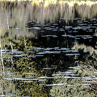 Cove in the Shade //images.artistrunwebsite.com/gallery/img_2072051475998444_large.jpg?1542259391