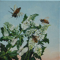 About to Bee Mint Honey //images.artistrunwebsite.com/gallery/img_2073081476145771_large.jpg?1485761011