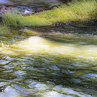 High Tide II //images.artistrunwebsite.com/gallery/img_2074081476218351_large.jpg?1542259391