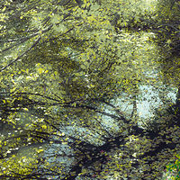Stream 1 //images.artistrunwebsite.com/gallery/img_2078851476413312_large.jpg?1542259390