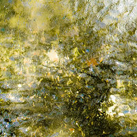 The Fountain //images.artistrunwebsite.com/gallery/img_2078901476414409_large.jpg?1479116959