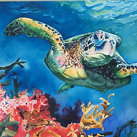 Loggerhead Turtle //images.artistrunwebsite.com/gallery/img_2079401480293281_large.jpg?1549430678