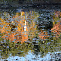 Kingston Lake //images.artistrunwebsite.com/gallery/img_2095041477296164_large.jpg?1542259390