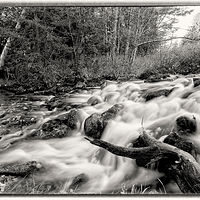 The River Flows //images.artistrunwebsite.com/gallery/img_2098071477528450_large.jpg?1477528862