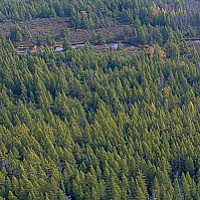 Goose Creek Lodge //images.artistrunwebsite.com/gallery/img_2098231488506250_large.jpg?1488506251