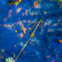 Creek Side //images.artistrunwebsite.com/gallery/img_2098241477529581_large.jpg?1477530060
