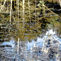 The Last Thing You See Before You Tip the Canoe I //images.artistrunwebsite.com/gallery/img_2107861478351195_large.jpg?1542259390
