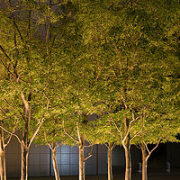Lovers //images.artistrunwebsite.com/gallery/img_211331767280_large.jpg?1616591756