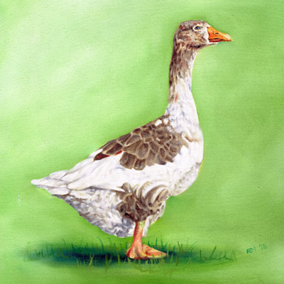 Goose 1 Oil painting Goose 1 by Richard Mountford