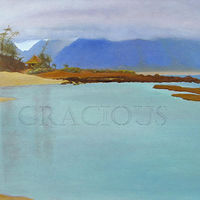 Gratitude - Serenity Series //images.artistrunwebsite.com/gallery/img_2129421479880376_large.jpg?1583051363