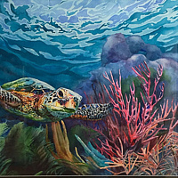 Sea Turtle //images.artistrunwebsite.com/gallery/img_2130781480293263_large.jpg?1548648577