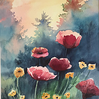 Poppies in the morning mist //images.artistrunwebsite.com/gallery/img_2130801480287691_large.jpg?1503777345