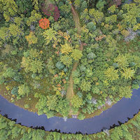 Goose Creek //images.artistrunwebsite.com/gallery/img_2138841481082536_large.jpg?1482450910