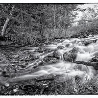 Flowing Water //images.artistrunwebsite.com/gallery/img_2138961481083061_large.jpg?1482450859