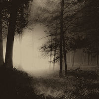 Morning Light //images.artistrunwebsite.com/gallery/img_2139211481084047_large.jpg?1482450636