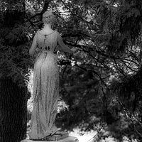 Standing Motionless //images.artistrunwebsite.com/gallery/img_2139341481084479_large.jpg?1482450997