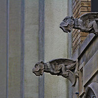 I'mWatchingYou //images.artistrunwebsite.com/gallery/img_2139411481084803_large.jpg?1484797686