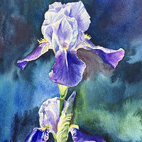 Purple Iris //images.artistrunwebsite.com/gallery/img_2160671483058118_large.jpg?1503777344
