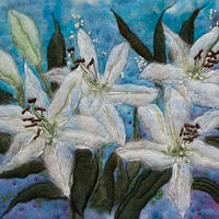 White Lilies //images.artistrunwebsite.com/gallery/img_2179781484252138_large.jpg?1526330971