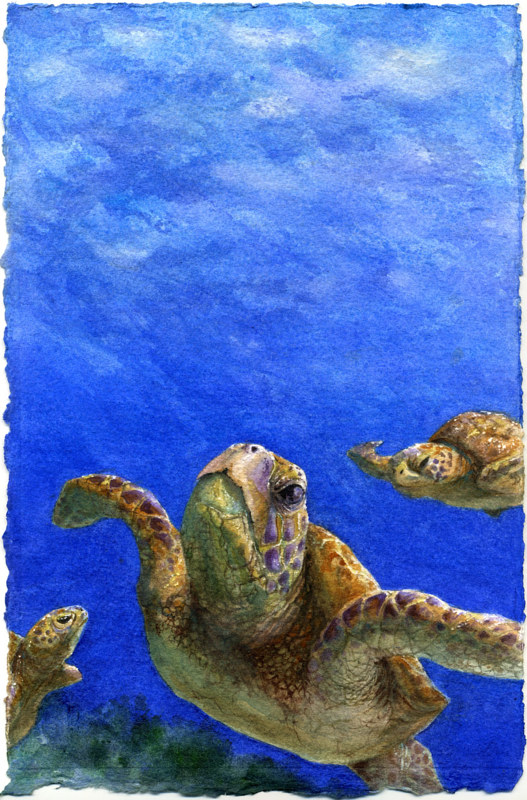 Sea Turtle Skies Painting Sea Turtle Skies by Lisa Baechtle