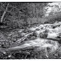 The River Flows //images.artistrunwebsite.com/gallery/img_2242731488399977_large.jpg?1488414914