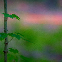 New Beginning //images.artistrunwebsite.com/gallery/img_2242991488413388_large.jpg?1488416283
