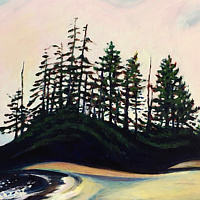 Cape Scott, After a Storm //images.artistrunwebsite.com/gallery/img_2252591489307647_large.jpg?1597320436