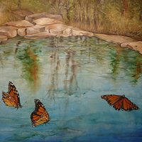 Monarch Lake //images.artistrunwebsite.com/gallery/img_2254871489545535_large.jpg?1498607212