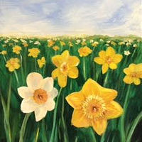 Daffodils //images.artistrunwebsite.com/gallery/img_2261261490061417_large.jpg?1498443137