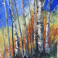 Birch Trees in Fall //images.artistrunwebsite.com/gallery/img_2271371490909246_large.jpg?1503777344