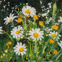Buttercup & Daisy Field //images.artistrunwebsite.com/gallery/img_2297721492708444_large.jpg?1527870610