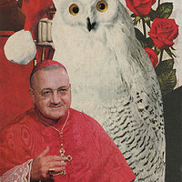 Superb Owl //images.artistrunwebsite.com/gallery/img_2389101501551430_large.jpg?1501580026